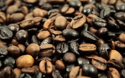 Tipos de café: os 9 mais conhecidos